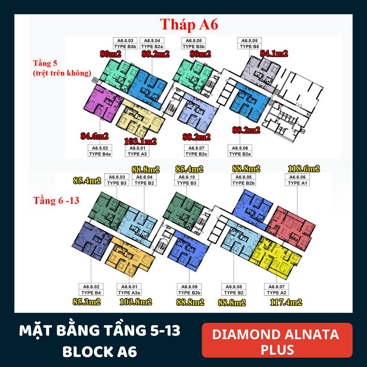 Mặt bằng Diamond Alnata plus Tân Phú